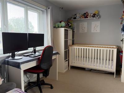 Picture 14
